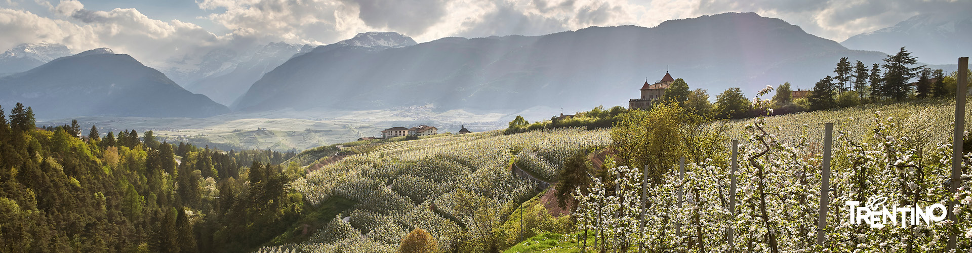 @Trentino Marketing_Carlo Baroni_1920x500_2